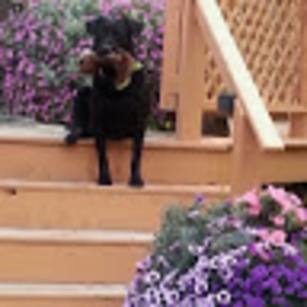 Meet your Posher, Teresa